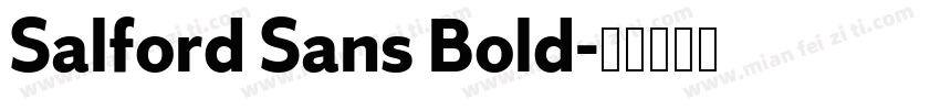 Salford Sans Bold字体转换